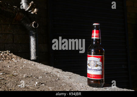 Ein Budweiser Bier Flasche sitzt auf einer Wand außerhalb einer Lagerhalle in Bradford, England. Stockfoto