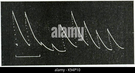 Leben Bewegungen in Pflanzen Vol. 1 Abb. 17. Stockfoto