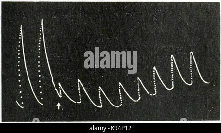 Leben Bewegungen in Pflanzen Vol. 1 Abb. 19. Stockfoto