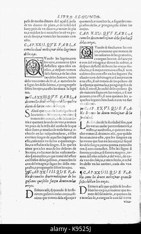 Libro de la Monteria fol 24, verso Stockfoto