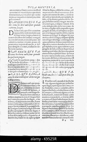 Libro de la Monteria fol 26, Rekto Stockfoto