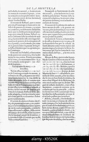 Libro de la Monteria fol 38, Rekto Stockfoto