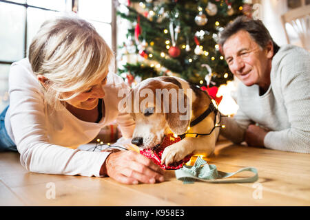 Senior Paar liegen auf dem Boden vor der beleuchteten Weihnachtsbaum in ihrem Haus mit ihren Hund in Lichterkette verheddert, Auspacken einer Pres Stockfoto