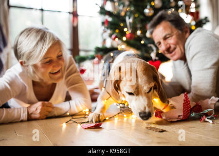 Senior Paar liegen auf dem Boden vor der beleuchteten Weihnachtsbaum in ihrem Haus mit ihren Hund in Lichterkette verheddert, Auspacken einer Pres Stockfoto