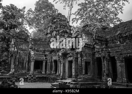 Der Westen Gopura, Eintritt zum inneren Tempel, Ta Prohm, Angkor, Siem Reap, Kambodscha: Schwarz und Weiss Stockfoto