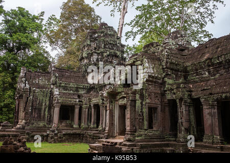 Der Westen Gopura, Eintritt zum inneren Tempel, Ta Prohm, Angkor, Siem Reap, Kambodscha Stockfoto