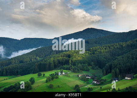 Blick von oben in den Schwarzwald in der Nähe von Freiburg mit einigen Häusern und Nebel im Morgengrauen Stockfoto