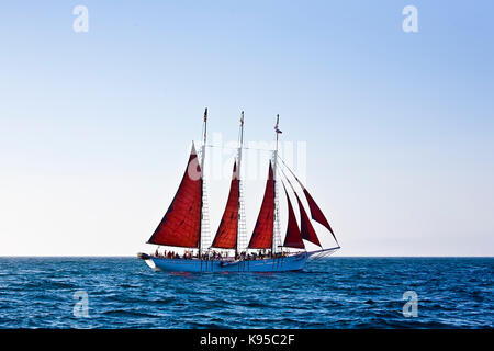 Tall Ship american Pride aus Dana Point Harbor, CA USA. Dieses 3-Mast Schoner wurde im Jahre 1941 erbaut, ursprünglich als 2-Mast chooner-Dragger" ein Stockfoto