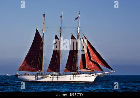 Tall Ship american Pride aus Dana Point Harbor, CA USA. Dieses 3-Mast Schoner wurde im Jahre 1941 erbaut, ursprünglich als 2-Mast chooner-Dragger" ein Stockfoto