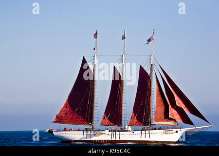 Tall Ship american Pride aus Dana Point Harbor, CA USA. Dieses 3-Mast Schoner wurde im Jahre 1941 erbaut, ursprünglich als 2-Mast chooner-Dragger" ein Stockfoto