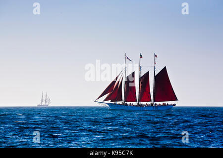 Tall Ship american Pride aus Dana Point Harbor, ca Usa. Stockfoto