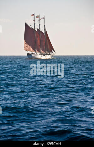 Tall Ship american Pride aus Dana Point Harbor, CA USA. Dieses 3-Mast Schoner wurde im Jahre 1941 erbaut, ursprünglich als 2-Mast chooner-Dragger" ein Stockfoto
