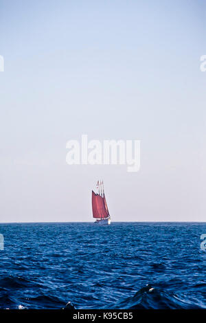 Tall Ship american Pride aus Dana Point Harbor, CA USA. Dieses 3-Mast Schoner wurde im Jahre 1941 erbaut, ursprünglich als 2-Mast chooner-Dragger" ein Stockfoto