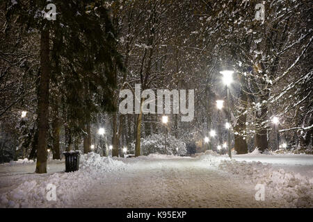 Park verschneite Gasse mit Laternen in der Nacht. Winter Nacht im Schnee. Stockfoto