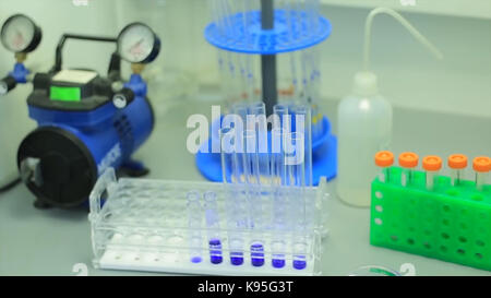 Viele Röhrchen in einem Test in einem Forschungslabor an einer Universität. symbolische Foto für das Lernen und Forschen. Glas in einem chemischen Labor mit farbige Flüssigkeit während der Reaktion gefüllt. Stockfoto