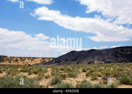 In Boca Negra Canyon, die Petroglyph National Monument, das sieht ziemlich unfruchtbar. Es ist nur, wenn Sie sich in den Basalt Felsen, die petrog erhalten Stockfoto