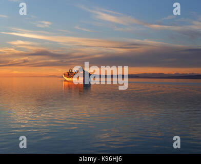 Die Sonne hinter dem Kreuzfahrtschiff "Coral Princess', als sie in die Straße von Georgis aus Vancouver, BC, Kanada segeln. Stockfoto