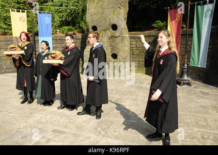 Die magische Welt von Harry Potter, Universal Studios, Florida, USA Stockfoto