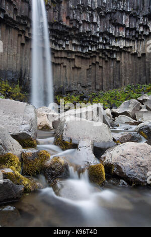 Eine Ansicht der Svartifoss Wasserfall und Basaltsäulen. Stockfoto