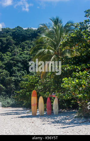 LOPES MENDES STRAND, ILHA GRANDE, BRASILIEN. Schöne Fotografie von vier Surfbrettern am Strand in Big Island, Hinter dem Dschungel. Sport Stockfoto