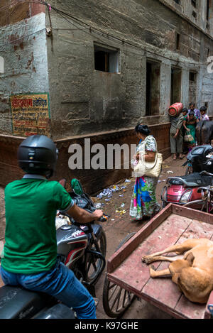 VARANASI, INDIEN - MÄRZ 13, 2016: Vertikale Bild der indischen Leute, die versuchen, in einem engen schmutzigen Straße von Varanasi in Indien zu bewegen Stockfoto