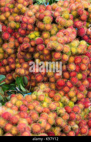 Stapel der Frische rambutan Frucht in einem Lebensmittelmarkt, Java, Indonesien Stockfoto