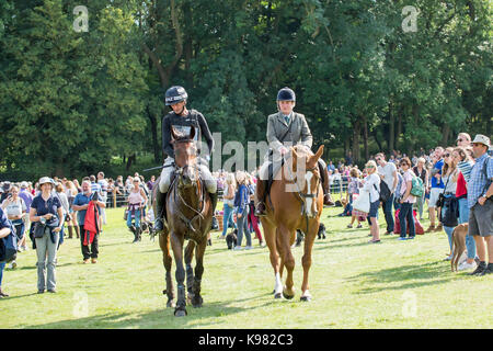 Mark Todd scheidet aus dem Land Rover Burghley Horse 2017 Studien nach Sturz auf Leonidas 11 in Discovery Valley in der Cross Country Day. Stockfoto