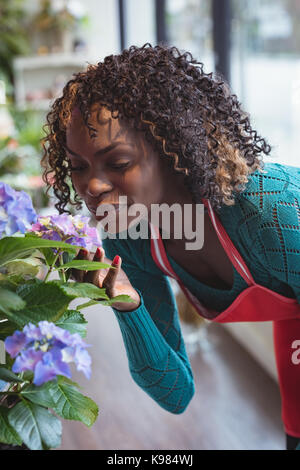 Weibliche florist duftende Blumen in der Flower Shop Stockfoto