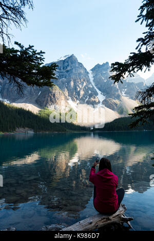 Ansicht der Rückseite Frau mit Mobiltelefon an einem sonnigen Tag Stockfoto