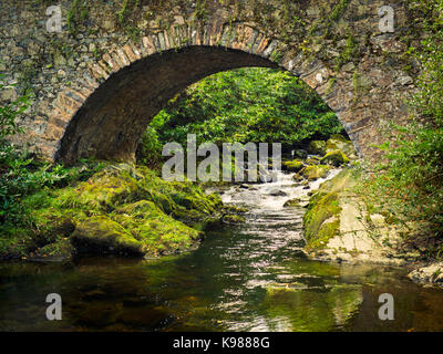Stream in Forest Park mit altem Stein Brücke, Nordirland Stockfoto