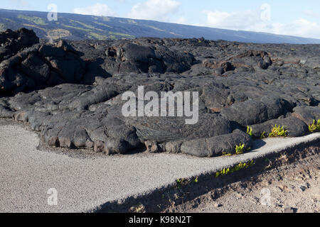 Lava blockierten die Straße in Hawaii Stockfoto