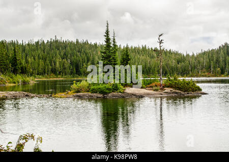 See Helen Mackenzie, Nadelbaum, Insel, Strathcona, Kanada Stockfoto