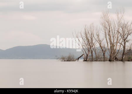 Langzeitbelichtung, Blick auf den See, mit perfekt noch Wasser- und Skelettsystems Bäume Stockfoto