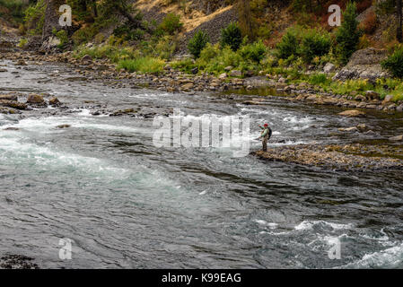 Fliegenfischen der Spokane River an der Schüssel und Krug Bereich der Riverside State Park. Stockfoto