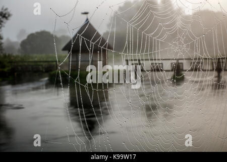 Tautropfen in Spinnennetz im Nebel auf dem Fluss Test an Aal Trap Brücke, Longstock, Hampshire, England. Stockfoto