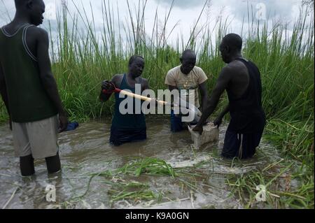 August 29, 2014 - Dorf - Machdeng Baidit Berka/Werra, Bor County, South Sudan - Dorfbewohner, die nach Hause nach intern Arbeit zu reparieren und einen Deich, Wasser aus dem Nil von ihrem Dorf Überschwemmungen zu verhindern verlängern Vertriebenen zurück. Sie und andere von ihrem Dorf arbeiten am Deich als Teil einer bedingten Verteilung von Nahrungsmitteln; sie erforderlich sind, um 20 Tage (4 Stunden pro Tag) im Austausch für Sorghum, gelbe Spalterbsen und angereicherte Pflanzenöl zu arbeiten. Tausend von South Sudan wurde intern Vertriebene Flüchtlinge in Jonglei und Juba nach dem Ausbruch der Kämpfe zwischen Stockfoto