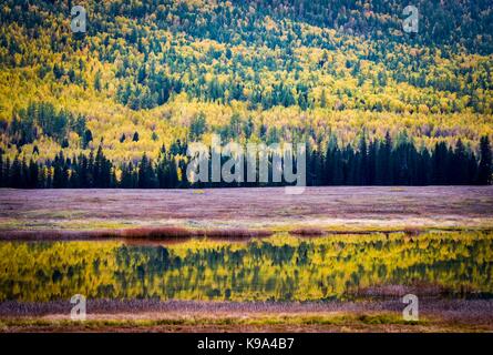 Kanas. 22 Sep, 2017. Foto auf Sept. 22, 2017 zeigt die Herbstlandschaft von Yaze Kanas See in der landschaftlich reizvollen Gegend im Nordwesten Chinas Autonomen Region Xinjiang Uygur. Credit: Zhao Ge/Xinhua/Alamy leben Nachrichten Stockfoto