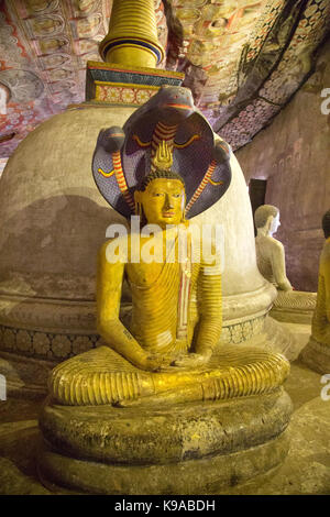 Dambulla Sri Lanka Dambulla Höhlen Tempeln - Höhle II Maharaja Viharaya Statue von Gautama Buddha in Dhyana Mudra von Naga Muchalinda Vor geschützt Der dagoba Stockfoto