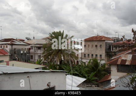 Blick auf die Steinstadt über Dächer, Sansibar, Tansania, Ostafrika Stockfoto