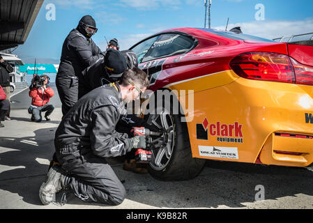 Shannon Staatsangehörigen Runde 6: Phillip Island, Grand Prix Circuit, 8 - 10 September, 2017. Stockfoto