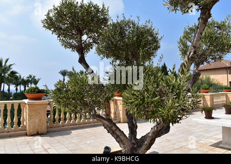 Die schönen Gärten des Elysium Hotel in Paphos, Zypern. Stockfoto