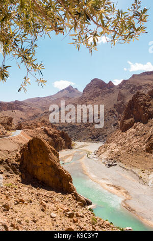 Die ziz Fluss fließt durch den Mittleren Atlas in Marokko, Afrika. Stockfoto
