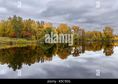 Der See, die den bewölkten Himmel und herbstliches Laub Bäume wachsen am Ufer Stockfoto