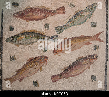 Rom. Italien. Mosaik Pflastersteine wit Fische von der Via Flaminia (3. C AD) Palazzo Massimo alle Terme. Stockfoto