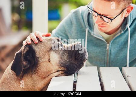 Gewidmet der große Hund. Die Freundschaft zwischen den jungen Menschen und Cane Corso Hund. Stockfoto