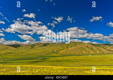 Rolling Hills in der mongolischen Steppe, Orkhon Tal, Khangai Nuruu National Park, Oevoerkhangai Aimag Provinz, Mongolei Stockfoto