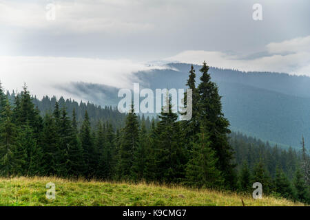 Die Fotos auf eine Reise auf die Karpaten um Pop Ivan. Stockfoto