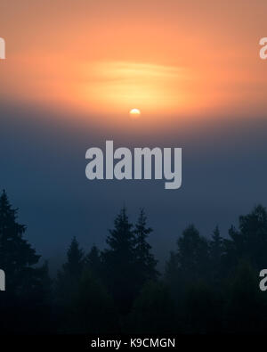 Sun steigt hinter Nebel in Torronsuo Nationalpark, Finnland Stockfoto