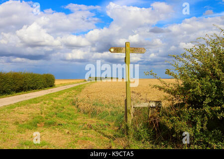 Einen hölzernen Fußweg auf der minster Weise Reitweg in den Yorkshire Wolds unter einem blauen Sommerhimmel Stockfoto