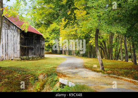 Scheune im Herbst Blätter Stockfoto